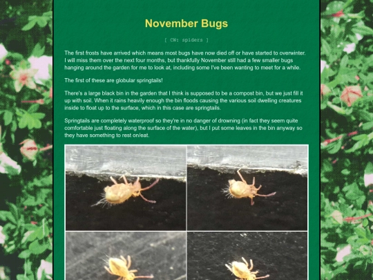 bugblog/2023/autumn/november/november screenshot