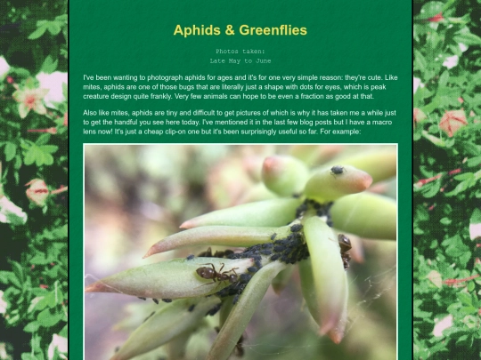 bugblog/2023/spring/aphids/aphids screenshot