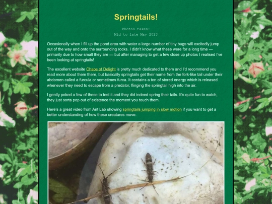 bugblog/2023/spring/springtails/springtails screenshot