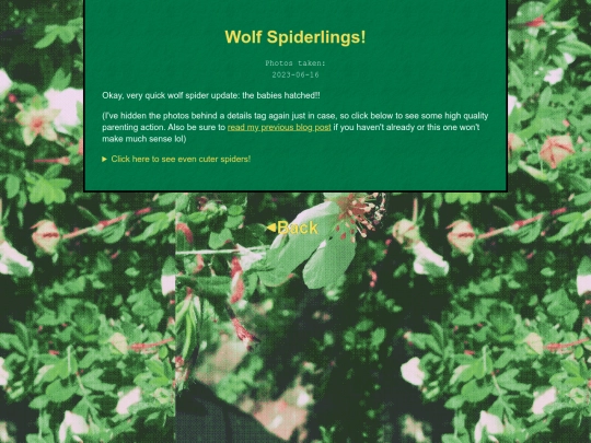 bugblog/2023/spring/wolfspider/update/wolfspiderlings screenshot