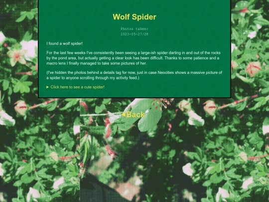 bugblog/2023/spring/wolfspider/wolfspider screenshot