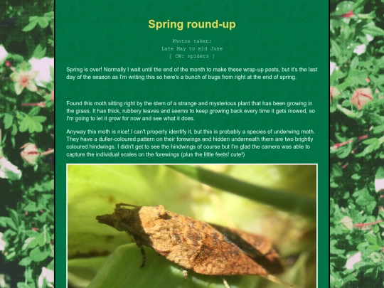 bugblog/2023/spring/wrap/wrap screenshot