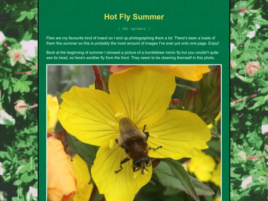bugblog/2023/summer/flies/flies screenshot
