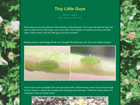 bugblog/2023/summer/lilguys/lilguys screenshot