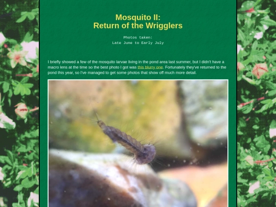 bugblog/2023/summer/mosquitoes/mosquitoes screenshot