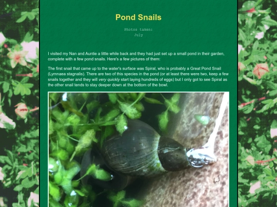 bugblog/2023/summer/pondsnail/pondsnail screenshot