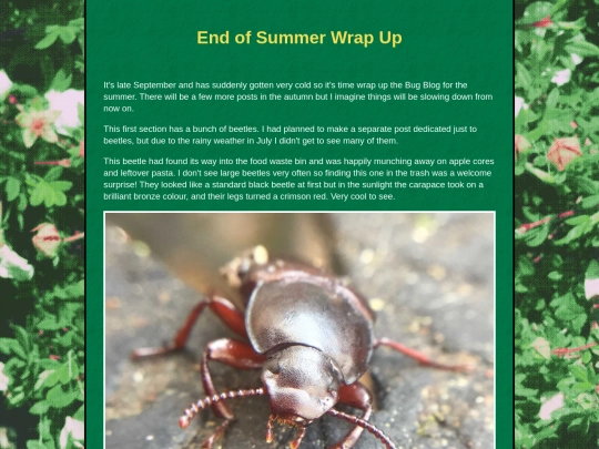 bugblog/2023/summer/wrap/wrap screenshot