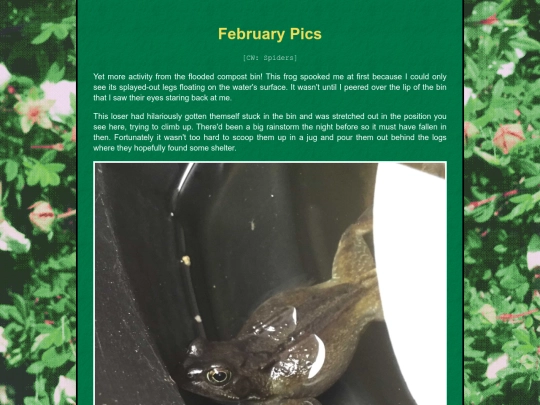 bugblog/2024/winter/february/february screenshot
