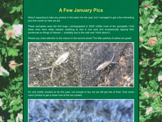 bugblog/2024/winter/january/january screenshot