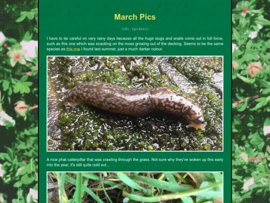 bugblog/2024/winter/march/march screenshot