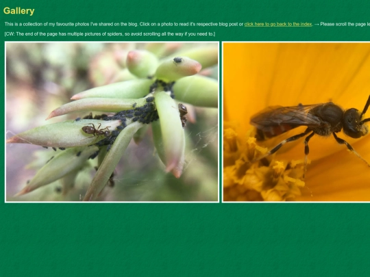 bugblog/gallery screenshot