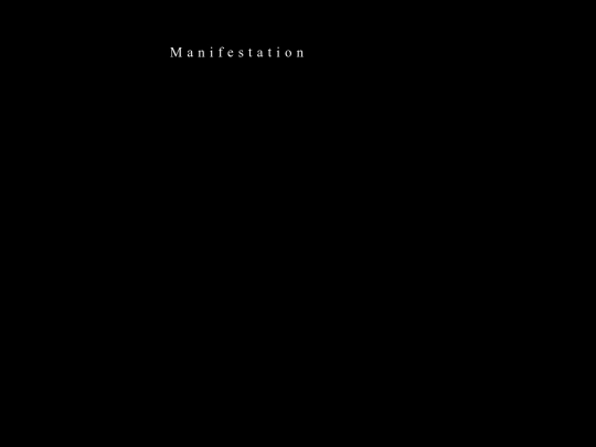 Manifestation screenshot