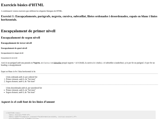 programació/html1 screenshot