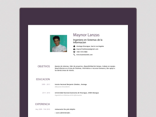 CV_MAYNOR_LANZAS/CV screenshot