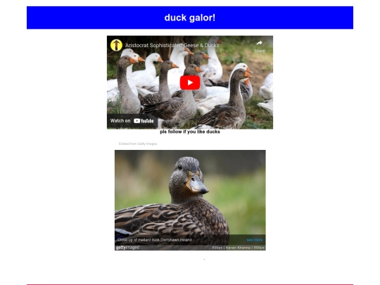 duckey ducky/more_ducks screenshot