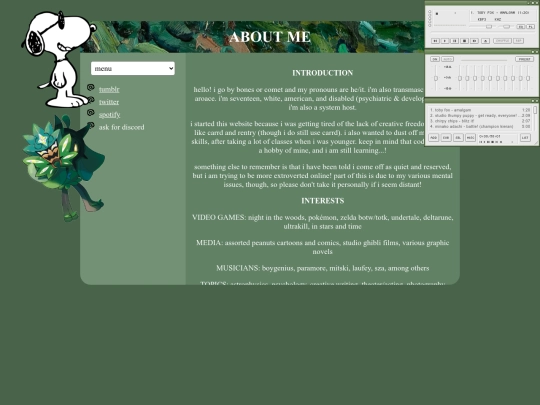 about screenshot