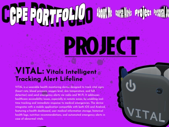 project screenshot
