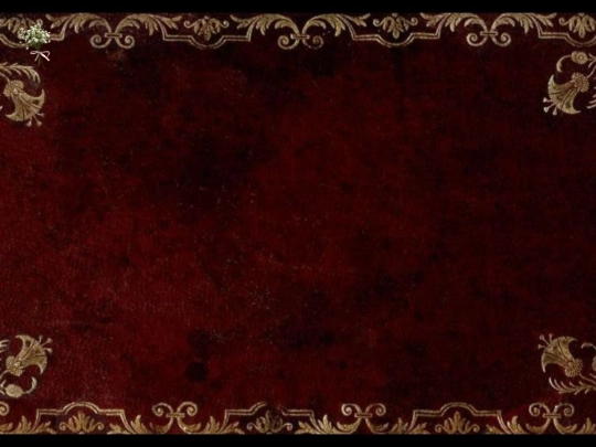 Haven screenshot