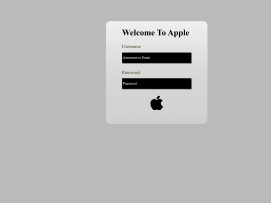 project/loginpage screenshot