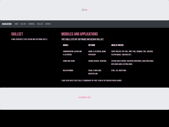 portfoliosite/skillset screenshot