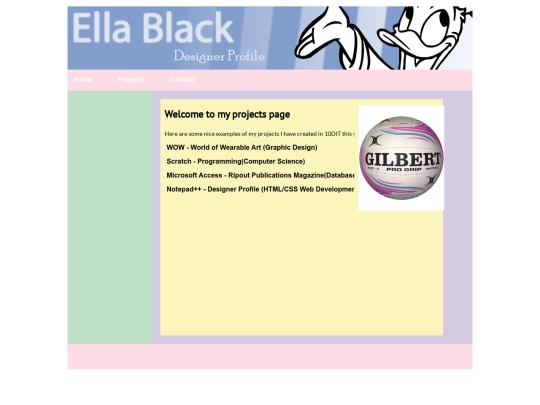 projects screenshot