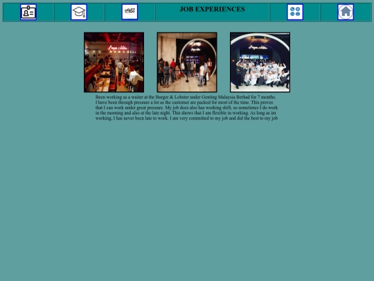 resume4 screenshot