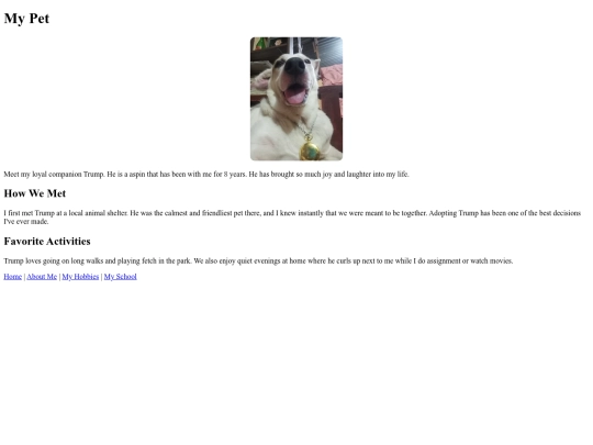 pet screenshot