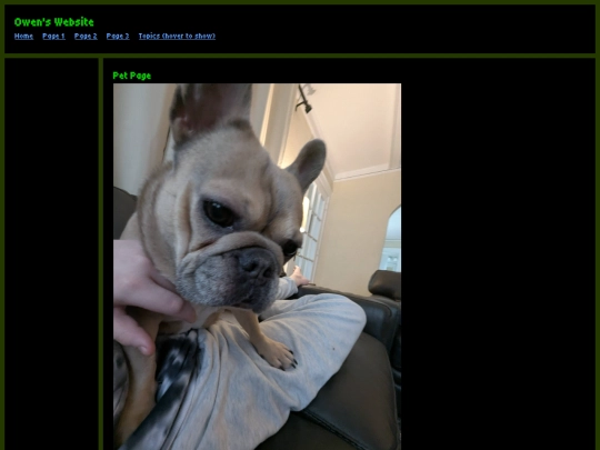 pets screenshot
