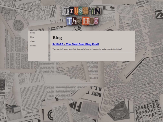 blog screenshot