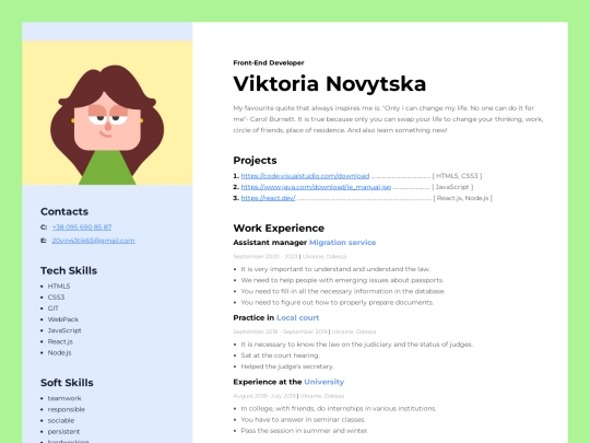 css screenshot