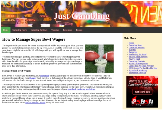 how-to-manage-super-bowl-wagers screenshot