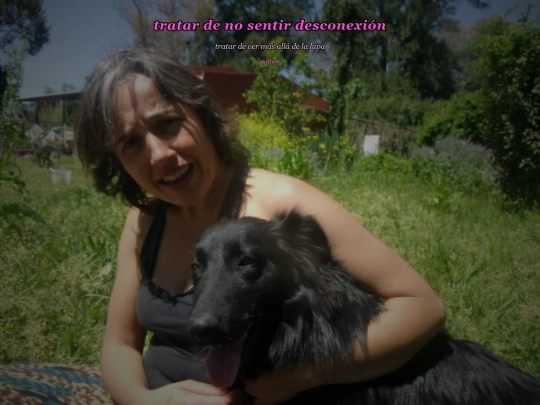 hogardulcehogar screenshot