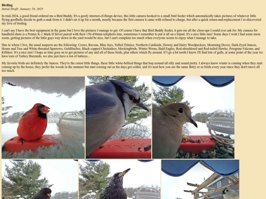 pages/birding screenshot