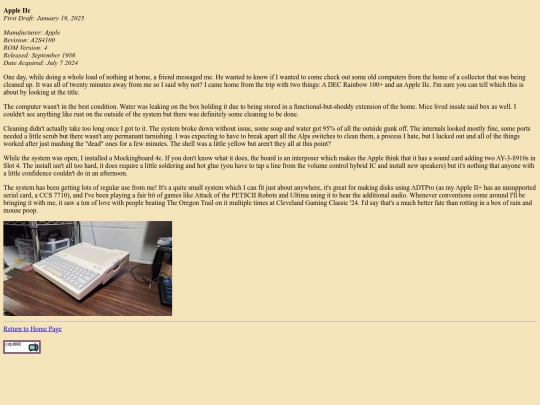 pages/iic screenshot