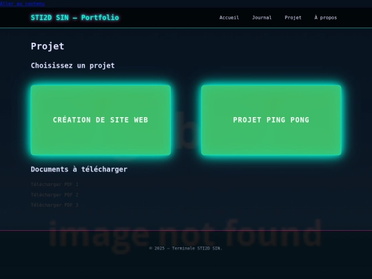 projet screenshot