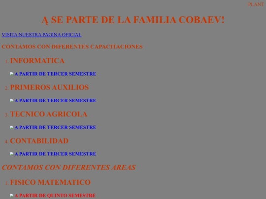 PREOYECTO DE CAPACITACION screenshot