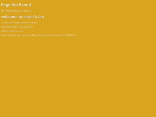 not_found screenshot