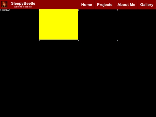 project screenshot