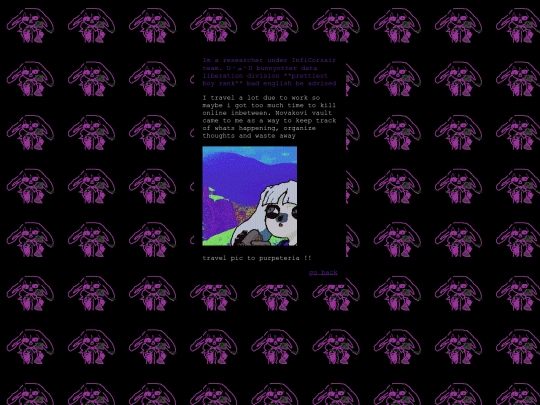 pages/about screenshot
