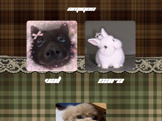 sorpresa screenshot