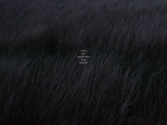 home screenshot