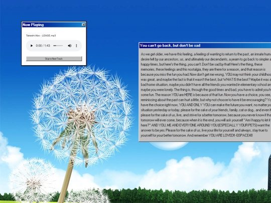 aero screenshot