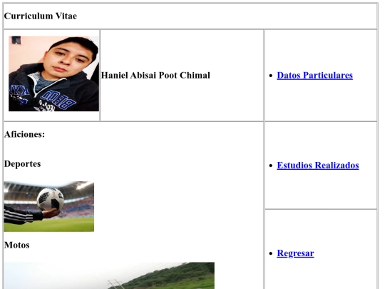 Actividad2.4/aficiones screenshot