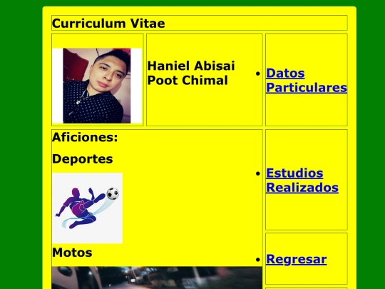 curriculum_estilos/aficiones screenshot