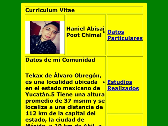 curriculum_estilos/datosdemicomunidad screenshot