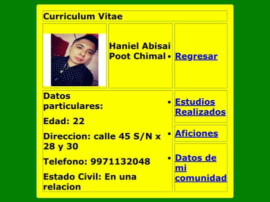 curriculum_estilos/datosparticulares screenshot
