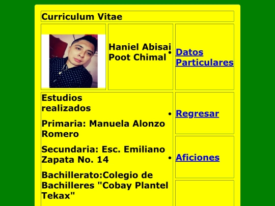 curriculum_estilos/estudiosrealizados screenshot