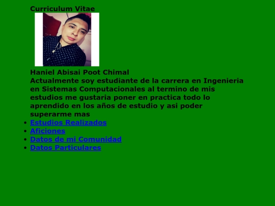 curriculum_estilos screenshot
