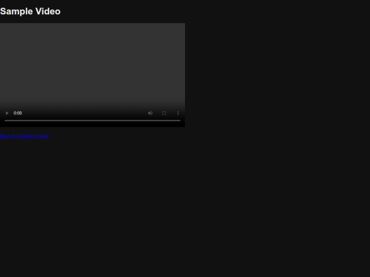 video screenshot
