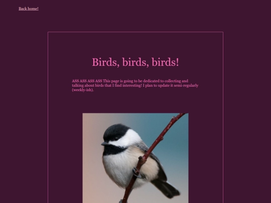 birds screenshot